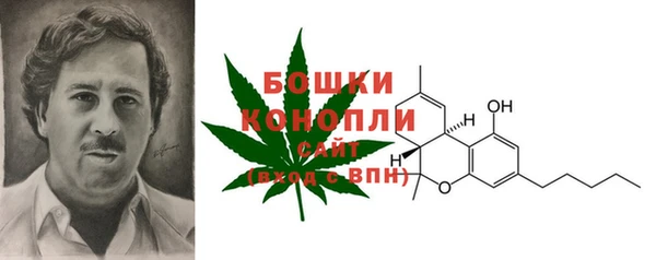 винт Белокуриха